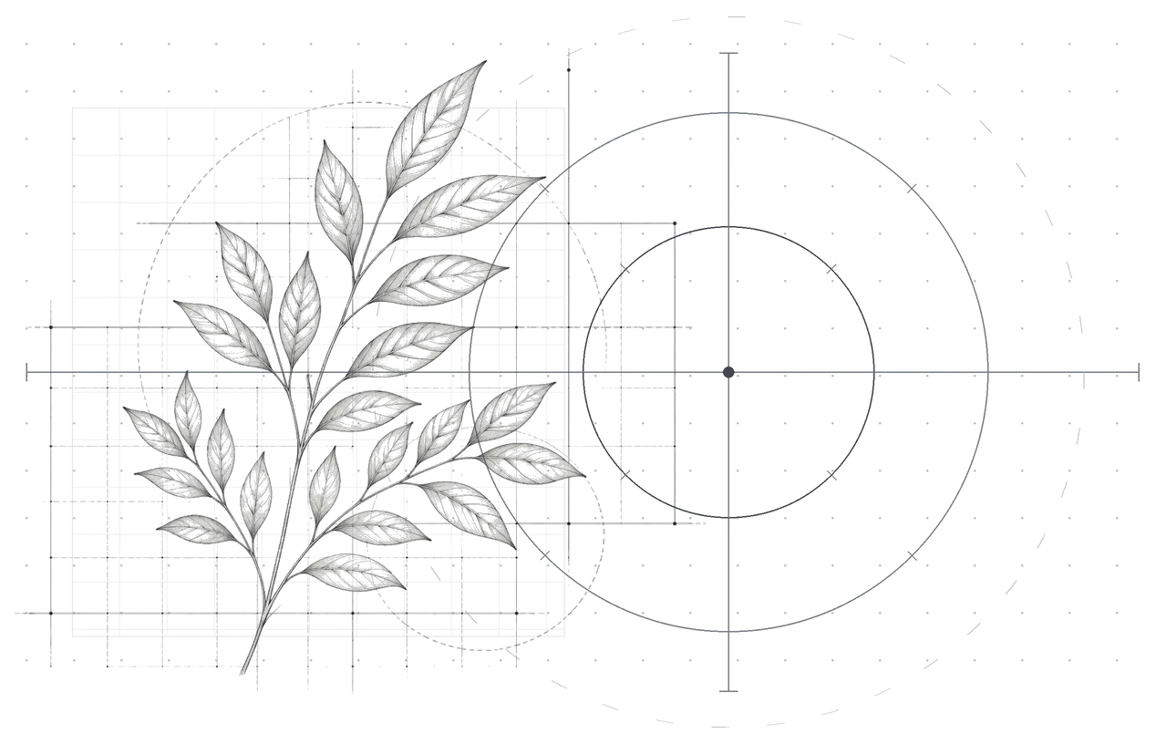 Botanical branch drawing with concentric target circles and coordinate linework