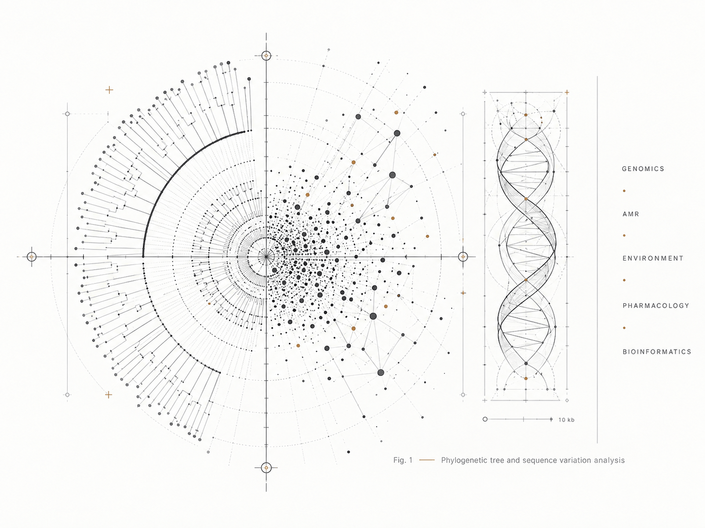 Phylogenetic tree and sequence variation analysis illustration