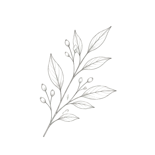 Botanical berry branch illustration
